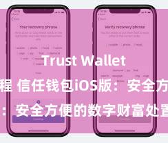 Trust Wallet安卓下载教程 信任钱包iOS版：安全方便的数字财富处置器用