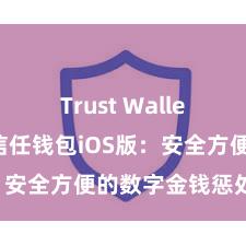 Trust Wallet安全么 信任钱包iOS版：安全方便的数字金钱惩处器具